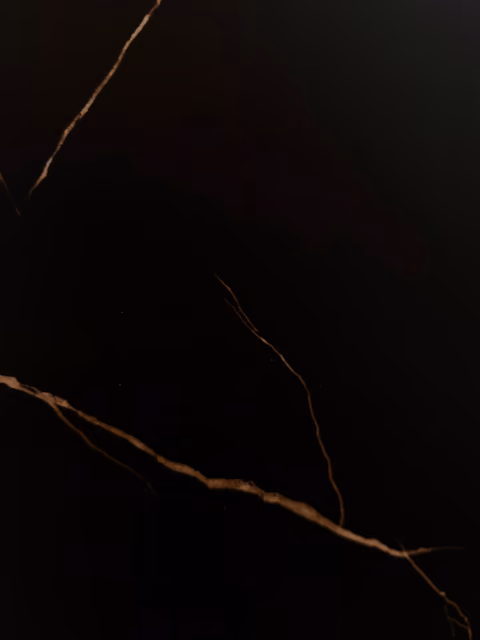 Black & Gold (T3019), Stone Grain Series