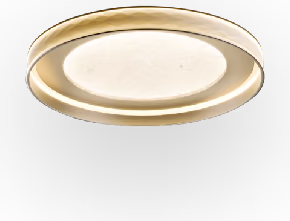 Halo Ceiling Light