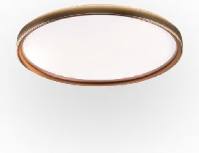 Moon Ceiling Light